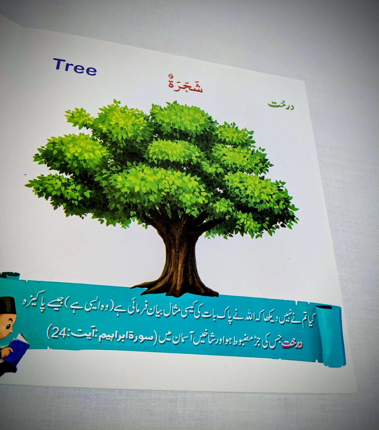 My First Al Quran-Words(Set of 6 Books)